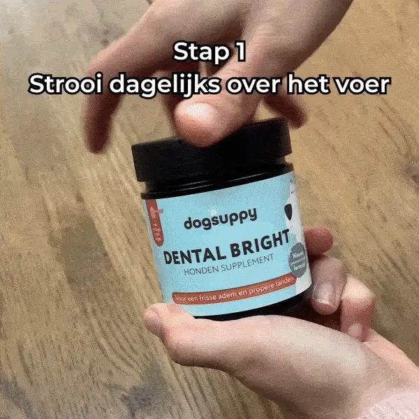 Dental Bright 🌿 60 schepjes - Image 6
