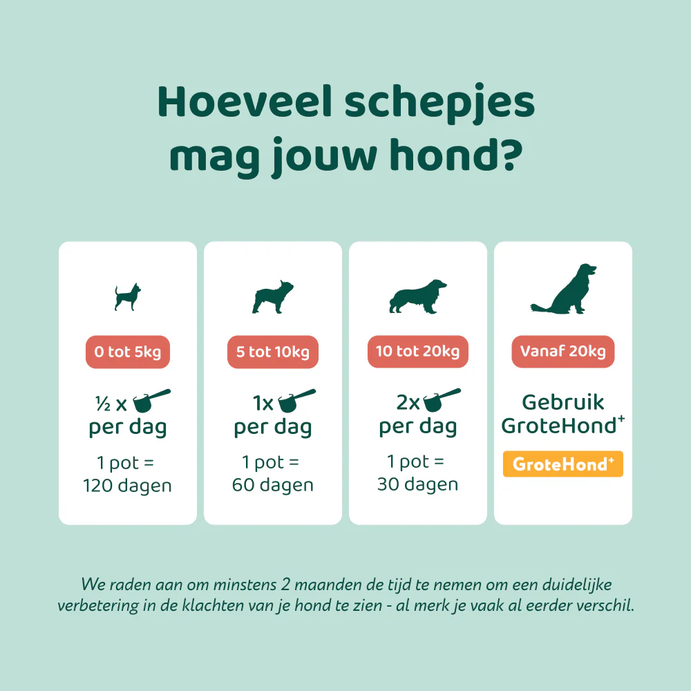 Dental Bright 🌿 60 schepjes - Image 11