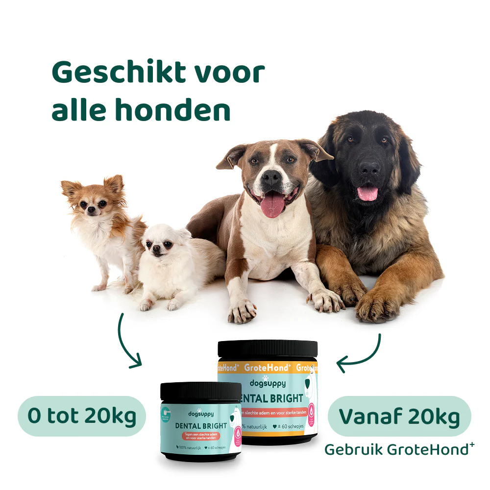 Dental Bright 🌿 60 schepjes - Image 12