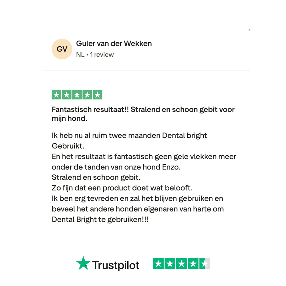 Dental Bright 🌿 60 schepjes - Image 13