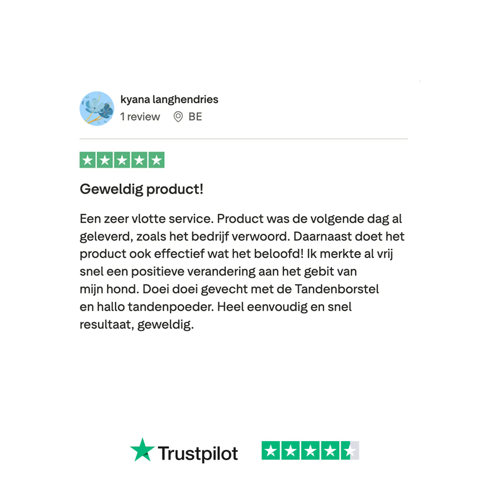 Dental Bright 🌿 60 schepjes - Image 15