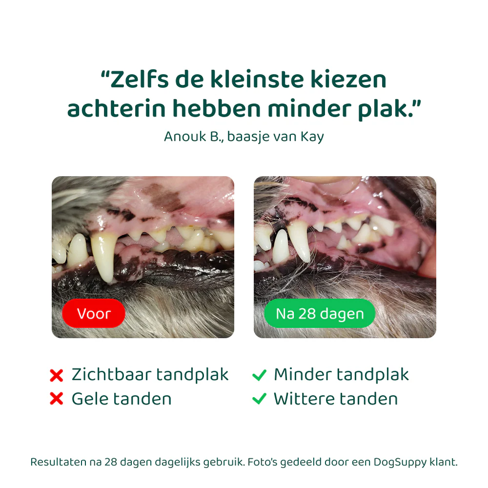 Dental Bright 🌿 60 schepjes - Image 7