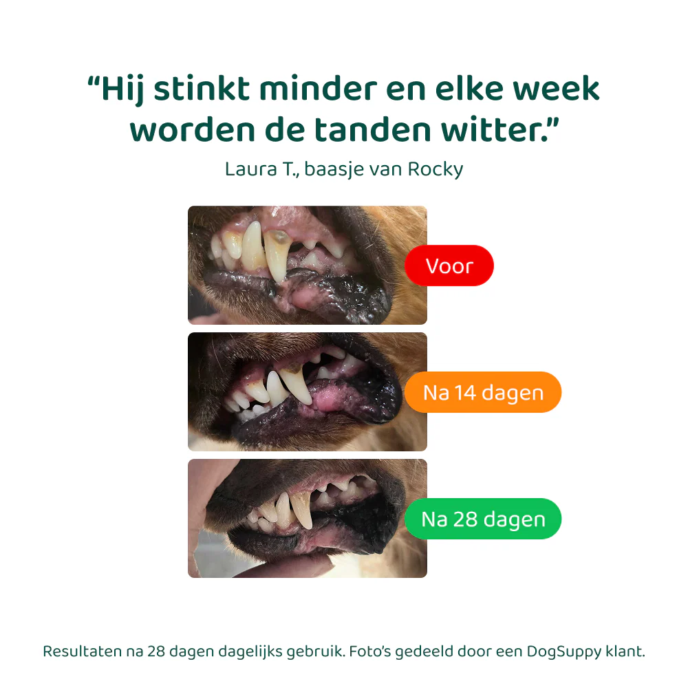 Dental Bright 🌿 60 schepjes - Image 8