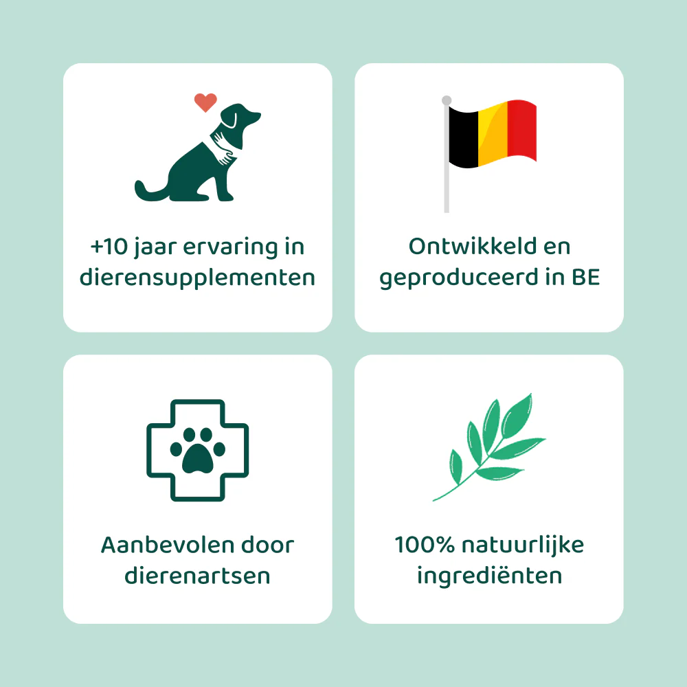 Glucosamine 🌿 60 snoepjes - Image 7