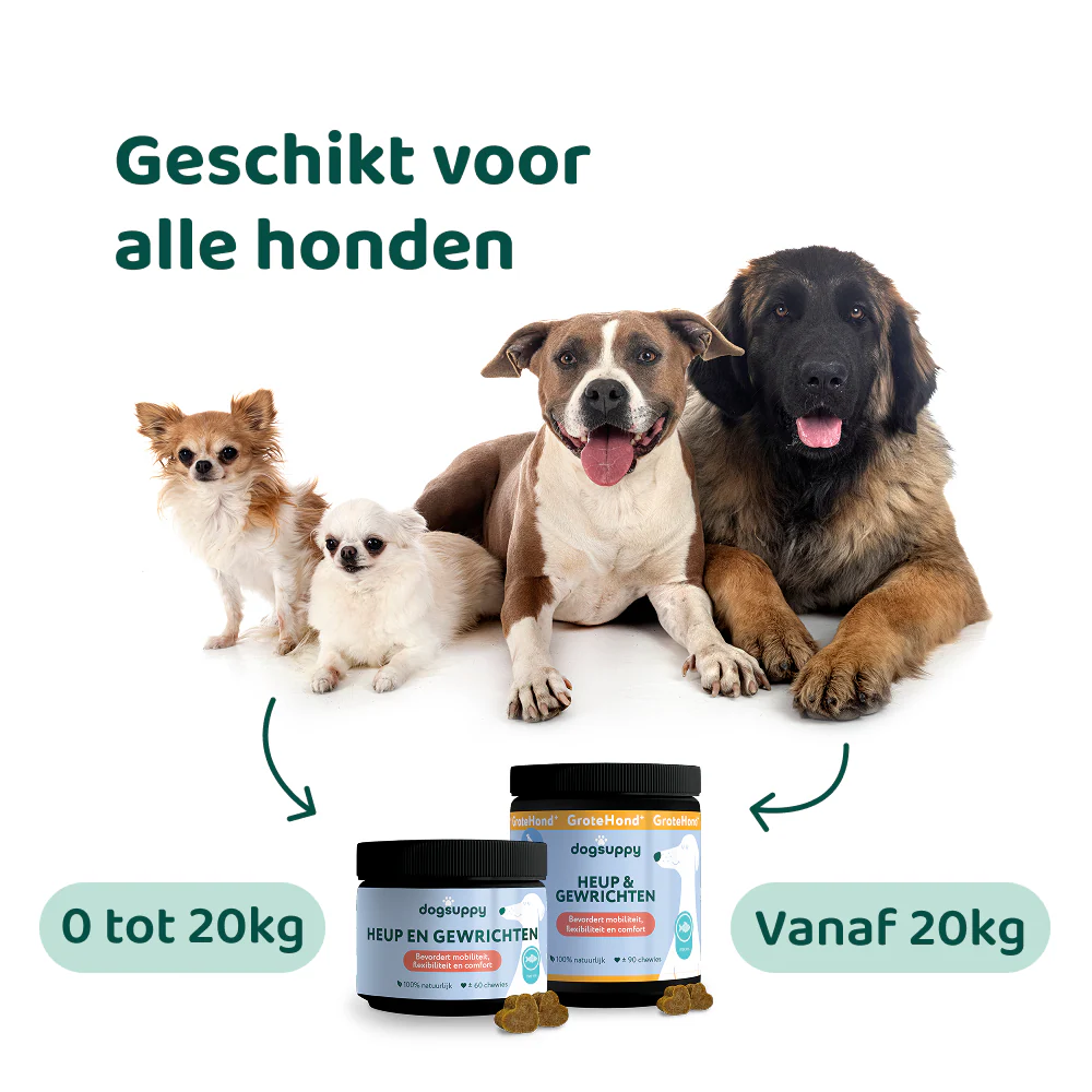 Huid & Vacht 🌿 60 Snoepjes - Image 7