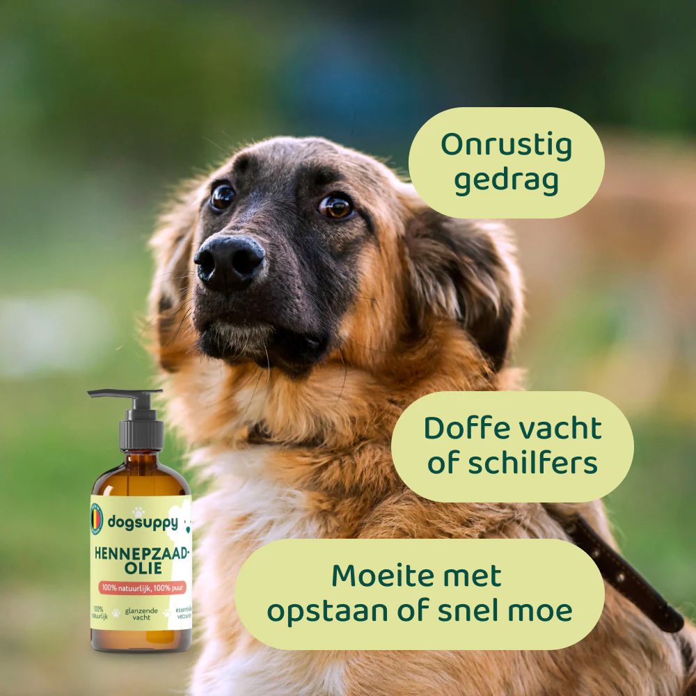 [BUN] Hypoallergeen - Image 5