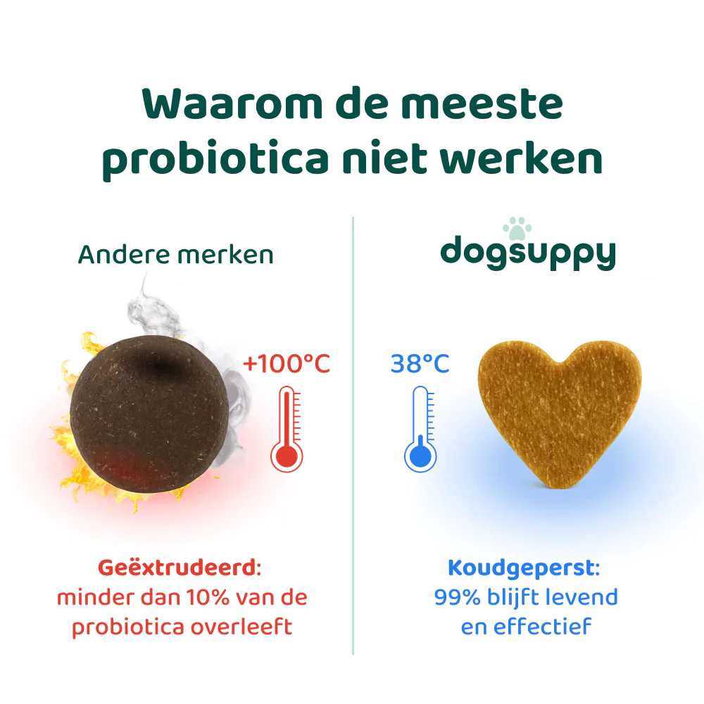 Probiotica Forte 🌿 60 snoepjes - Image 8