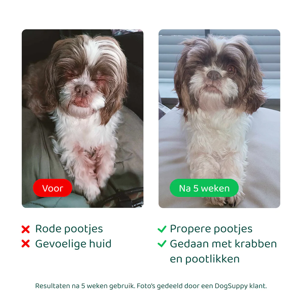 Anti-Jeuk GroteHond⁺ 🌿 90 snoepjes - Image 4