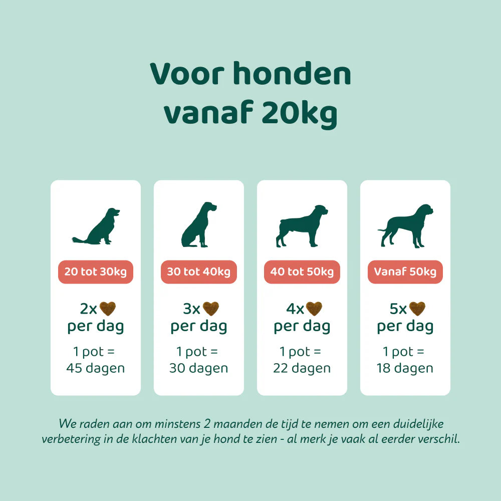 Stress & Angst GroteHond⁺ 🌿 90 snoepjes - Image 7