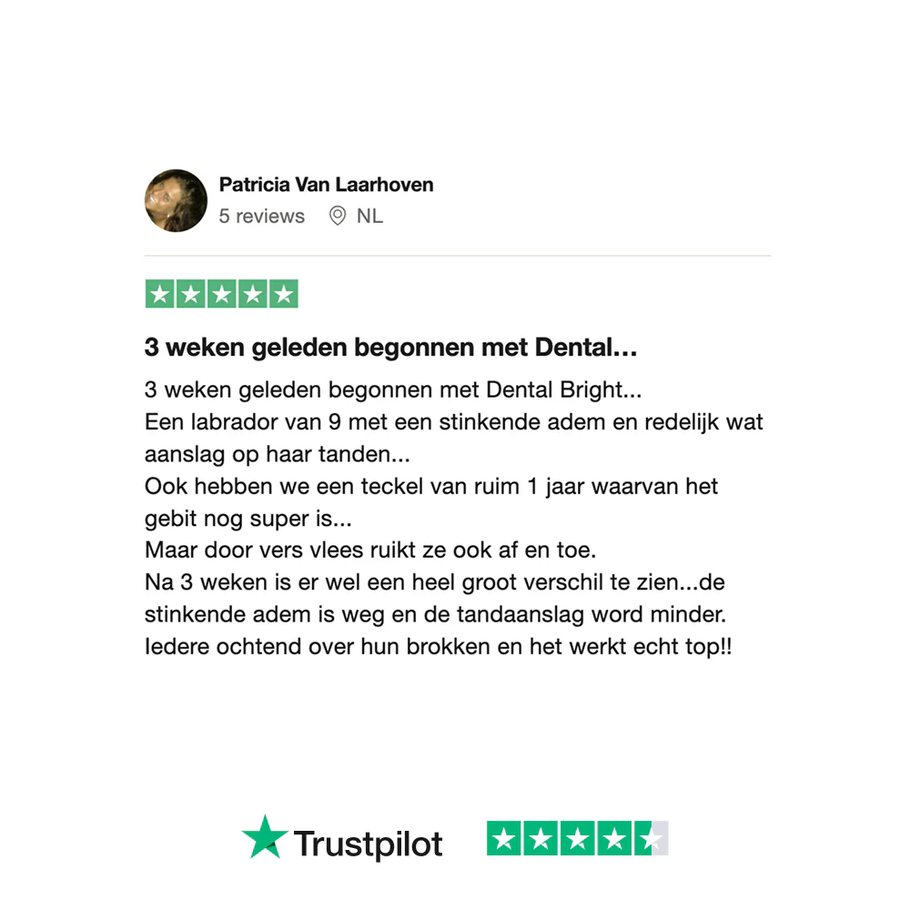 Dental Bright GroteHond⁺ 🌿 60 schepjes - Image 13