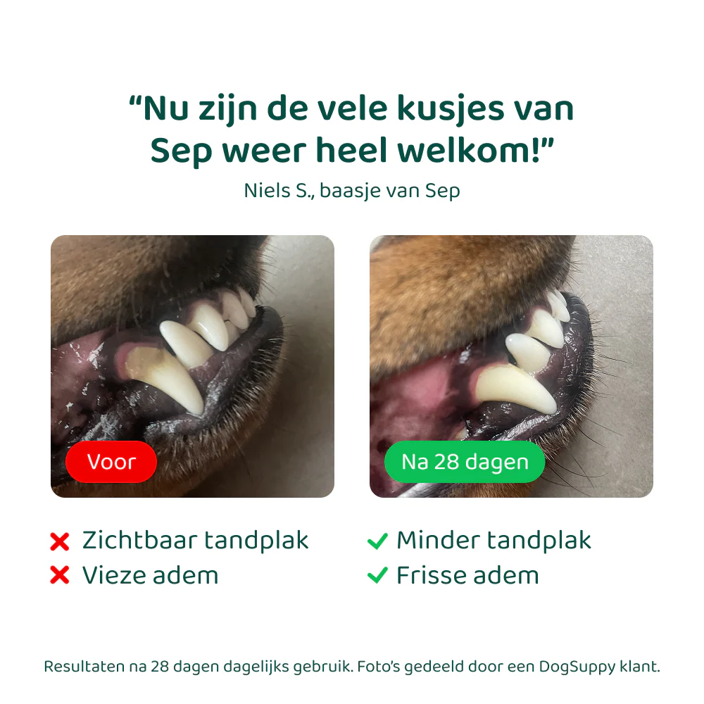 Dental Bright GroteHond⁺ 🌿 60 schepjes - Image 8