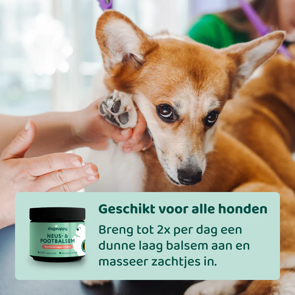 Neus- & Pootbalsem 🌿  125 ml - Image 8