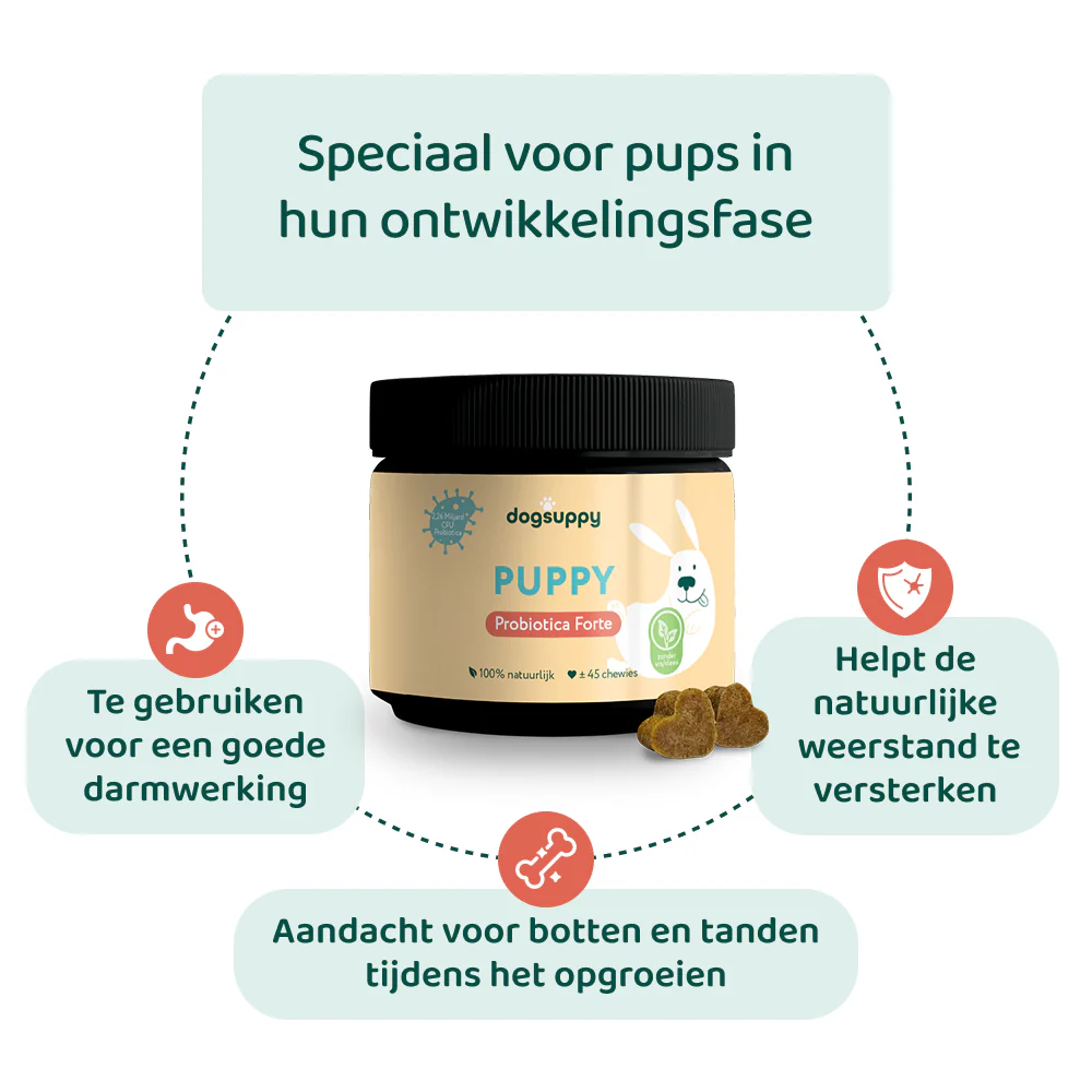 Puppy Probiotica (Zonder vlees) 🌿 45 chewies - Image 4