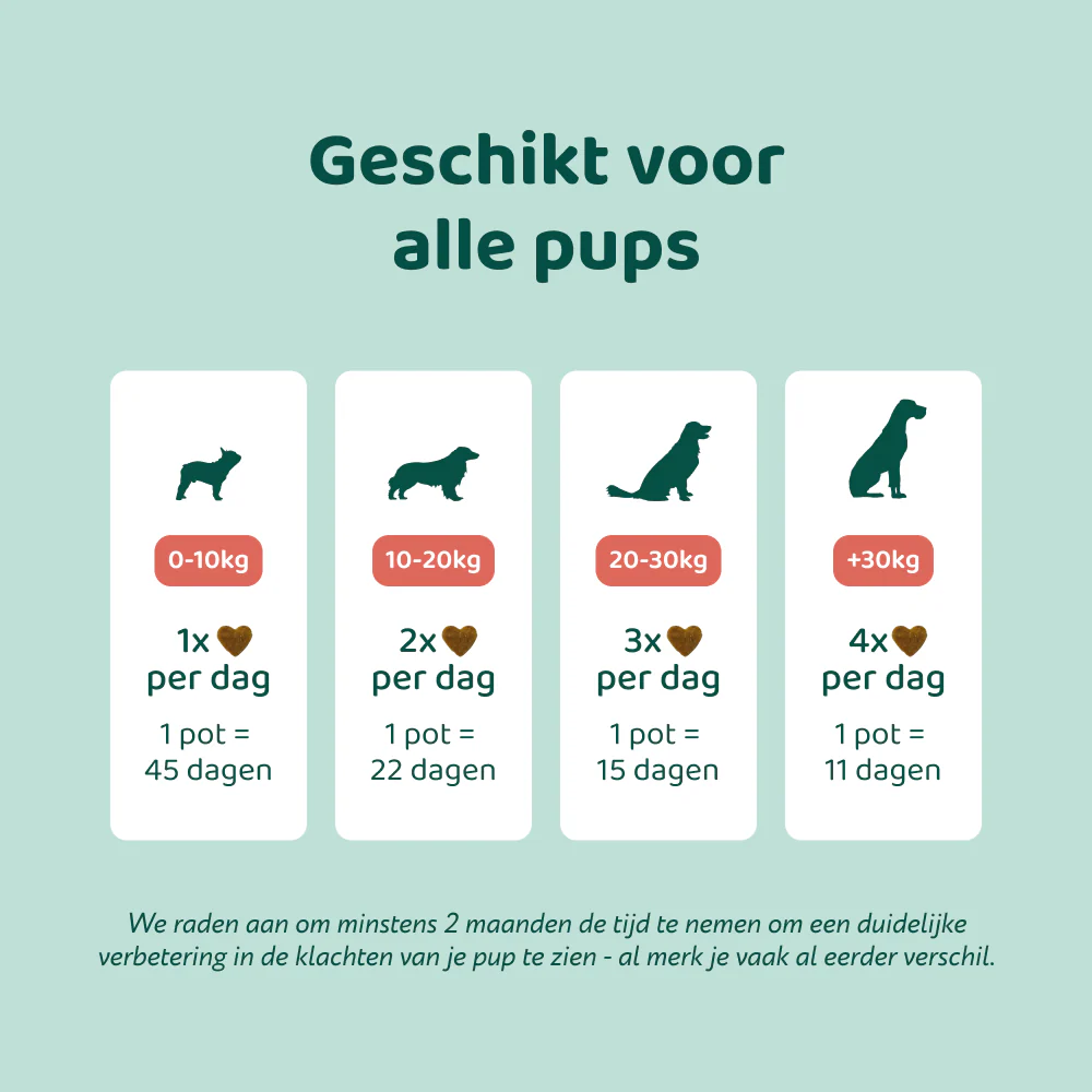 Puppy Probiotica (Zonder vlees) 🌿 45 chewies - Image 5