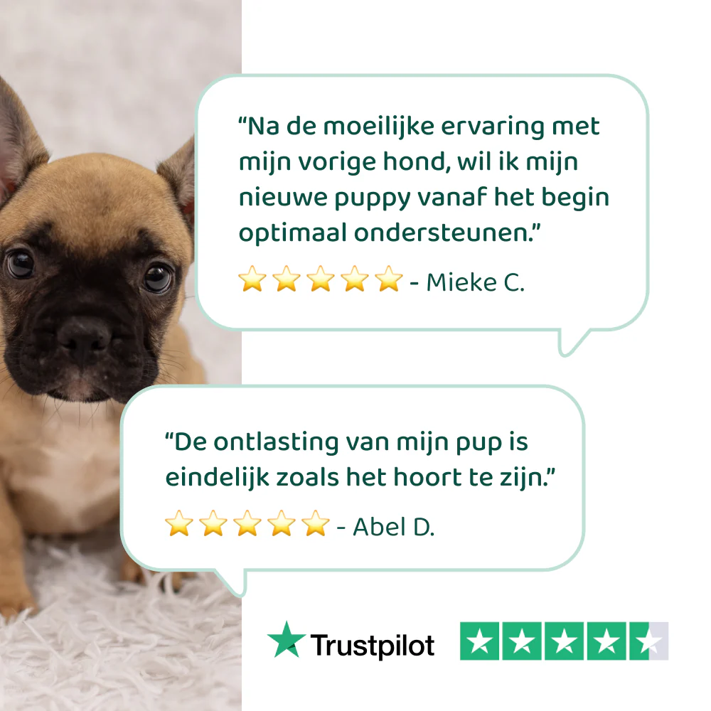 Puppy Probiotica (Zonder vlees) 🌿 45 chewies - Image 6
