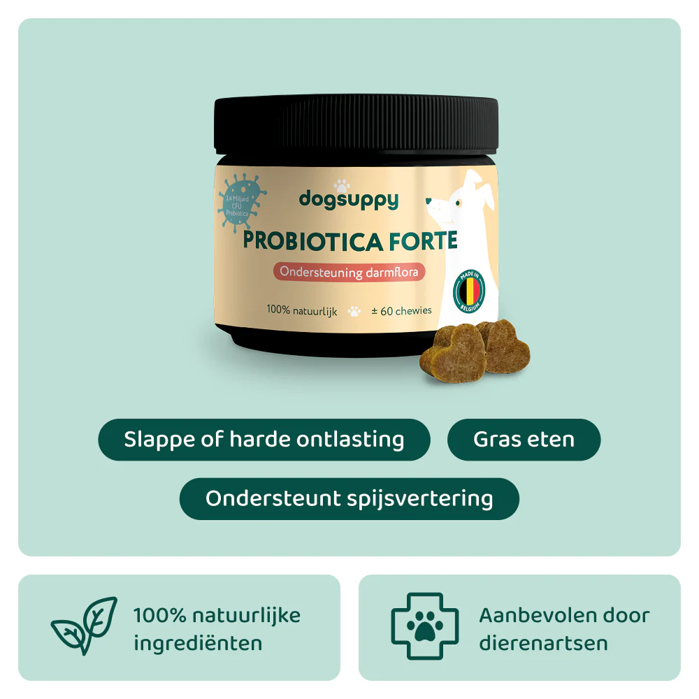 Probiotica Forte | 60 snoepjes
