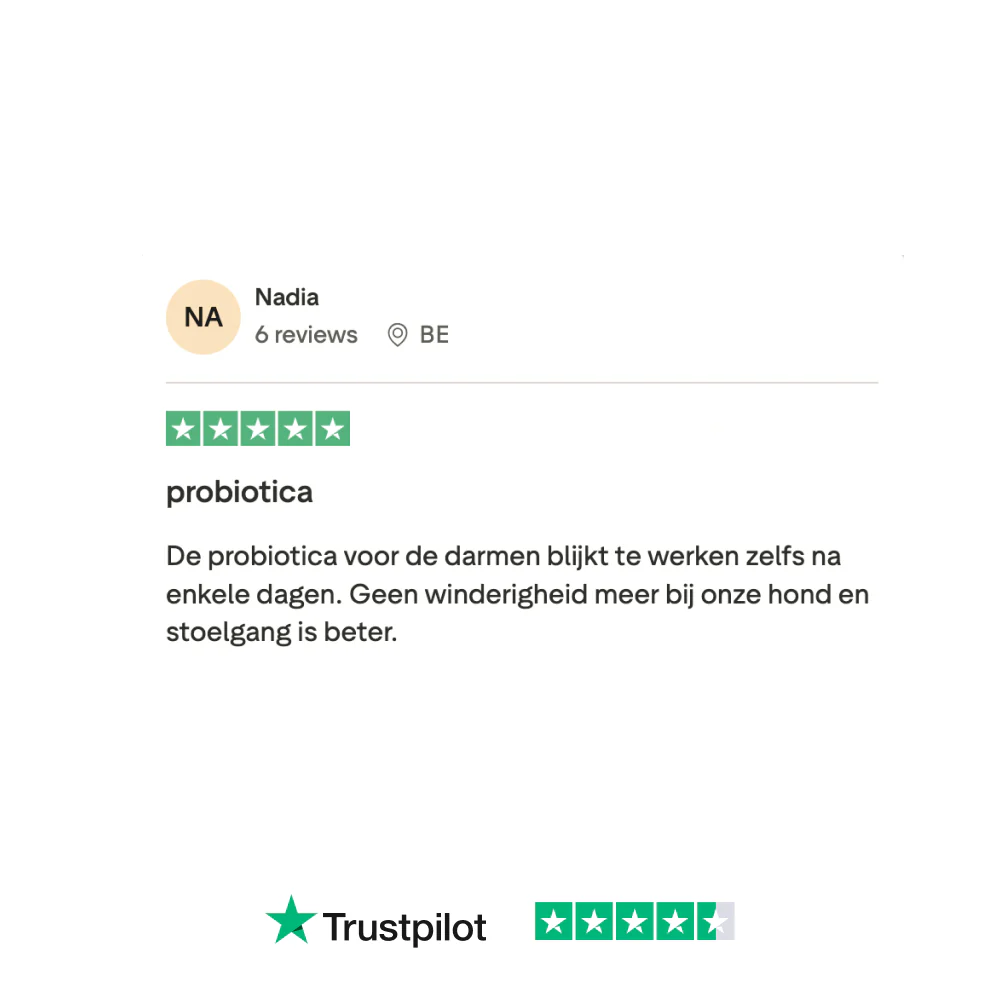 Probiotica Forte 🌿 60 snoepjes - Image 9