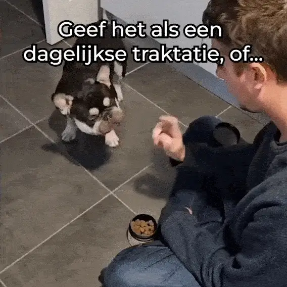 Anti-Jeuk Probiotica 🌿 60 snoepjes - Image 13
