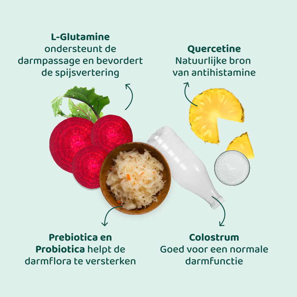 Anti-Jeuk Probiotica 🌿 60 snoepjes - Image 6