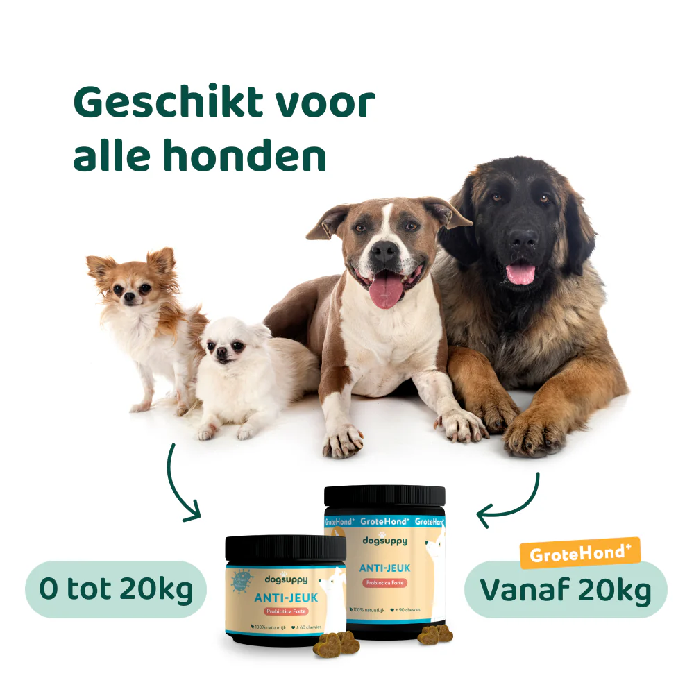 Anti-Jeuk Probiotica 🌿 60 snoepjes - Image 9